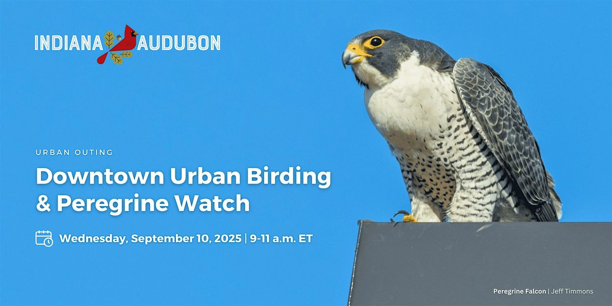 Downtown Urban Birding & Peregrine Watch, 10 September | Event in Indianapolis | AllEvents