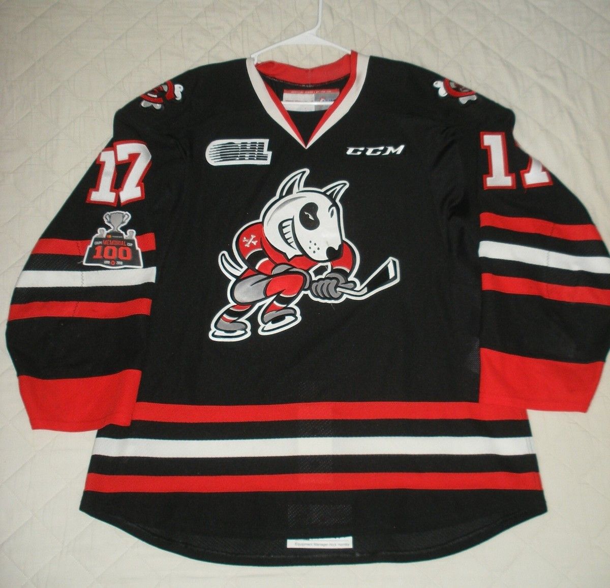 Niagara IceDogs at Ottawa 67s at TD Place, 15 November | Event in Ottawa | AllEvents