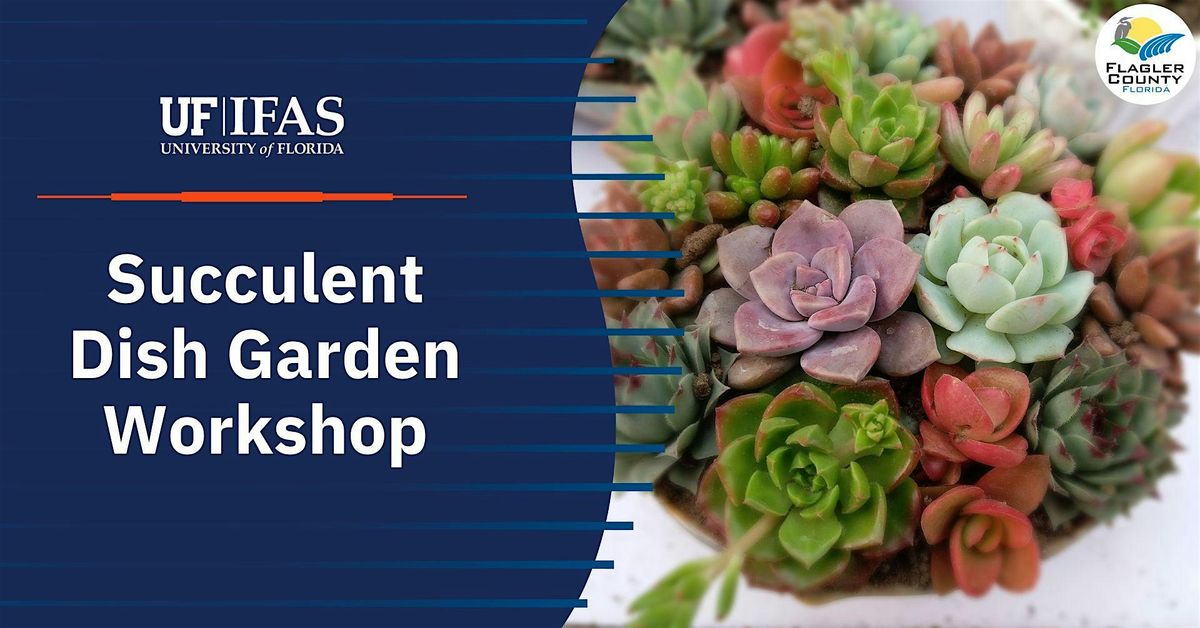 Succulent Dish Garden Workshop, 18 July | Event in Bunnell | AllEvents