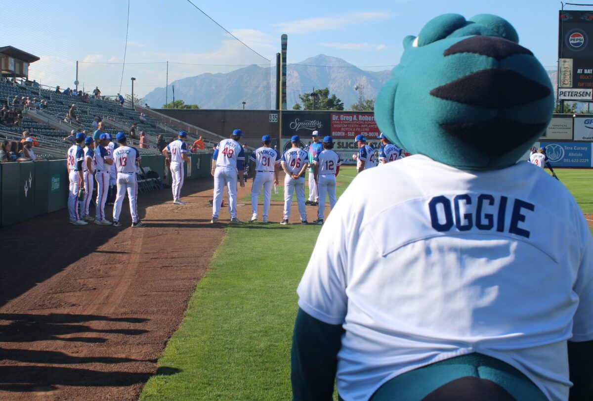 Rocky Mountain Vibes at Ogden Raptors at Lindquist Field, 19 August | Event in Ogden | AllEvents