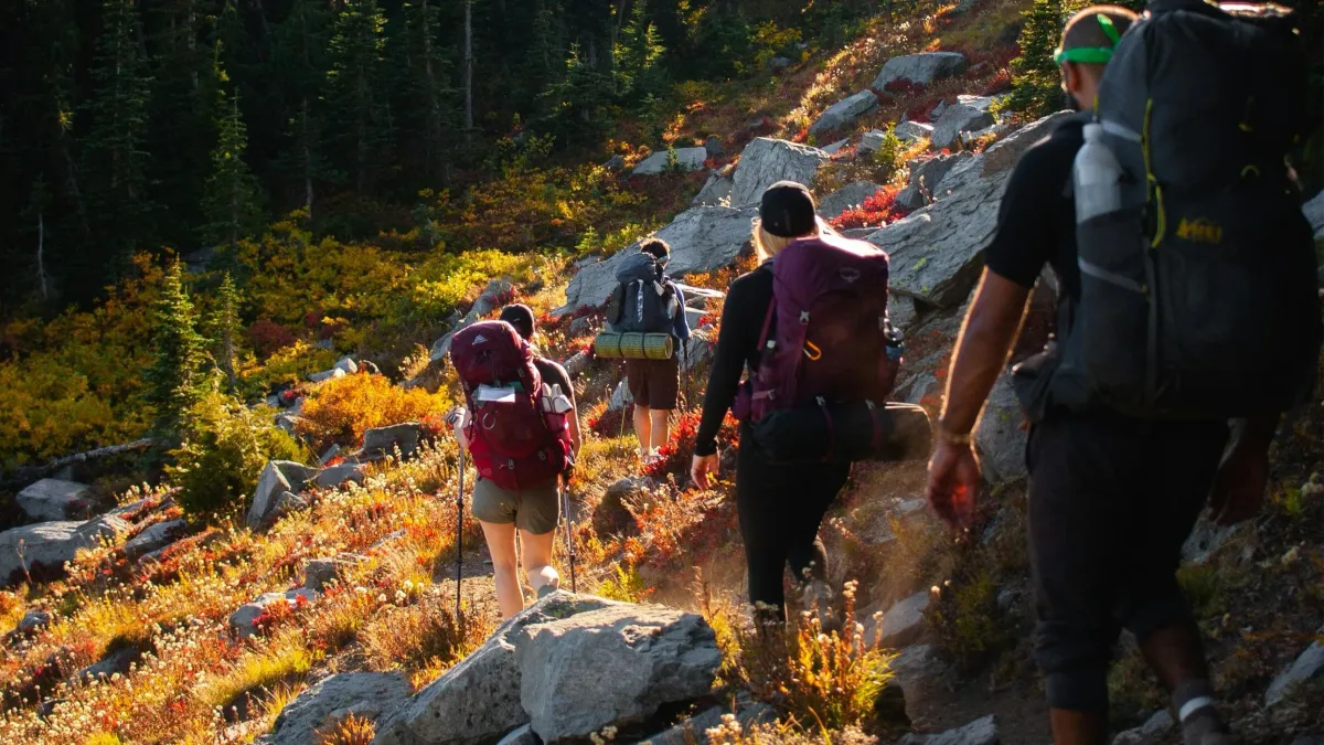 Catskill Park - Devil's Path (Solo hike), 1 November | Event in New York | AllEvents