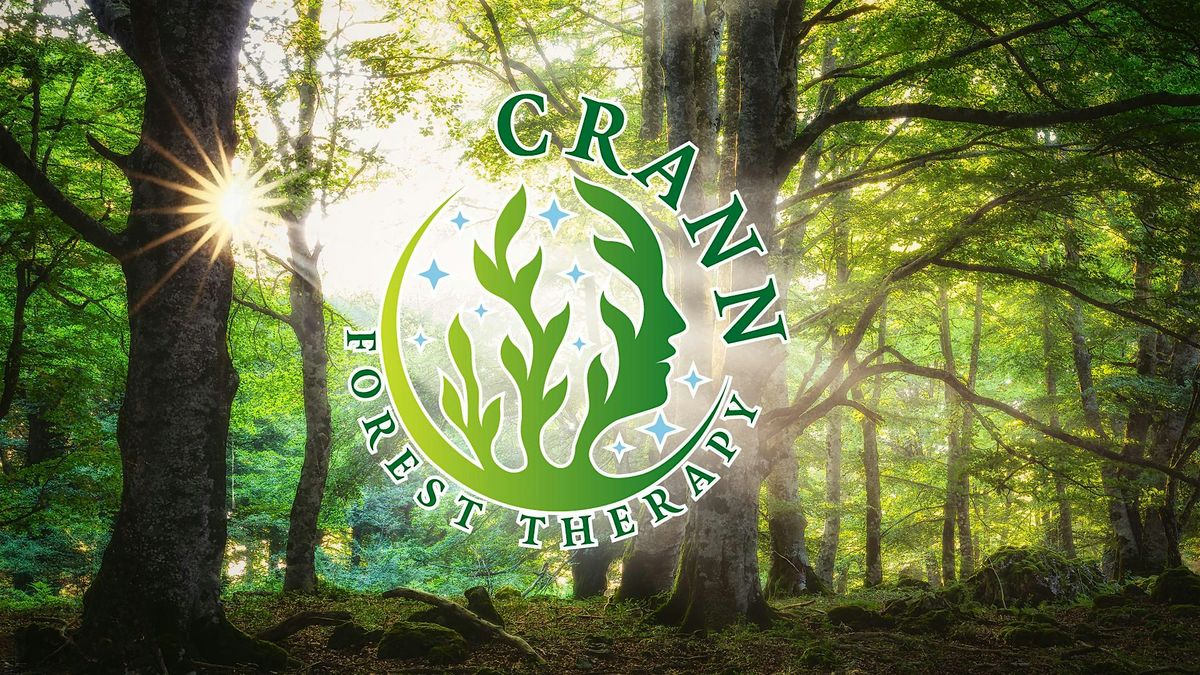 Forest Bathing at Castlewellan Forest Park, 31 July | Event in Castlewellan | AllEvents
