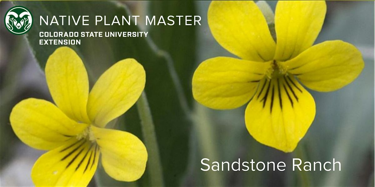 2025 NPM Sandstone Ranch Open Space Wildflower Field Trip -May 29;  9am-4pm, 29 May | Event in Larkspur | AllEvents