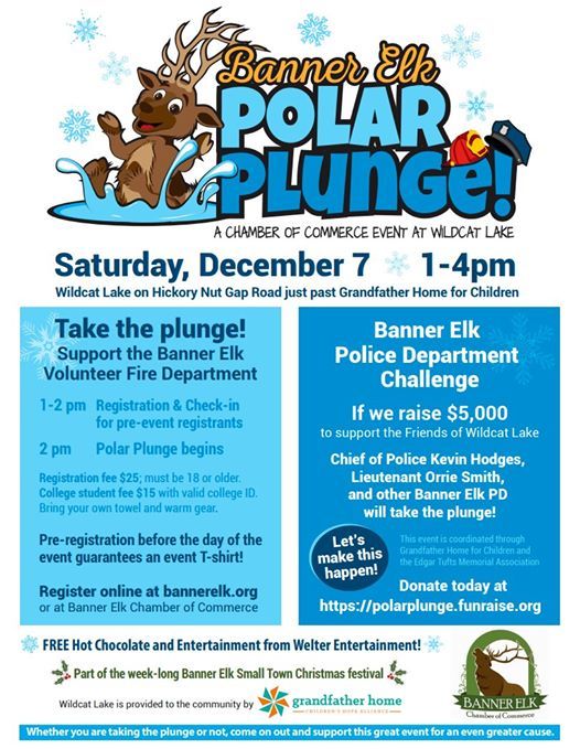 Belleville Polar Plunge Events In The City Top Upcoming Events