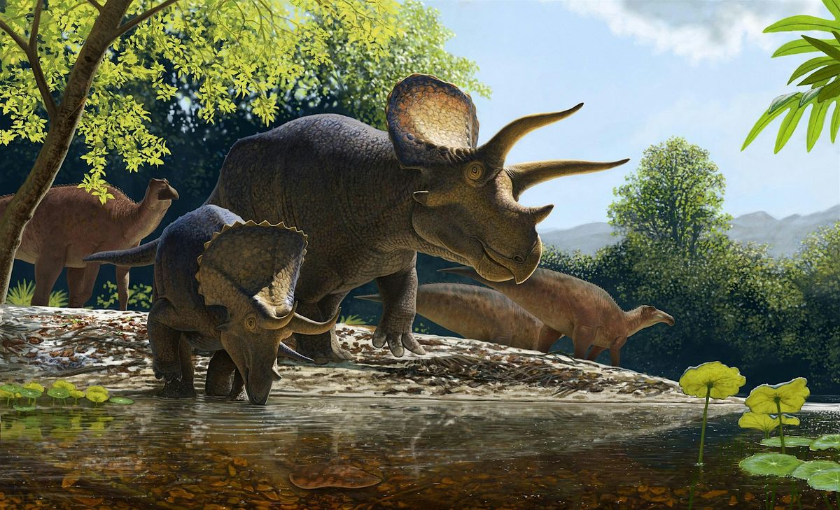 “Prehistoric Aurora” Opening Celebration | Event in Aurora | AllEvents