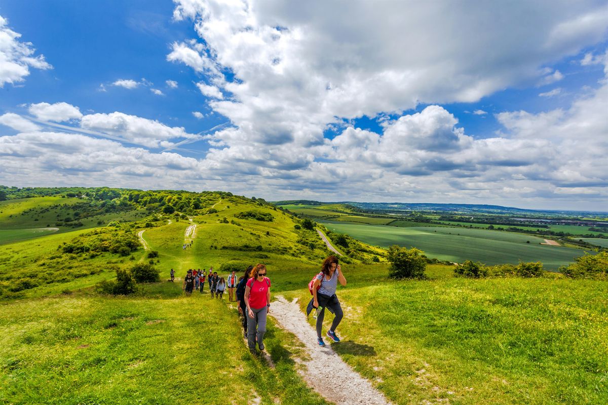 HIKE BEGINNERS 16km Ivinghoe Beacon and the Forests of the Chiltern Hills, 4 January | Event in London | AllEvents