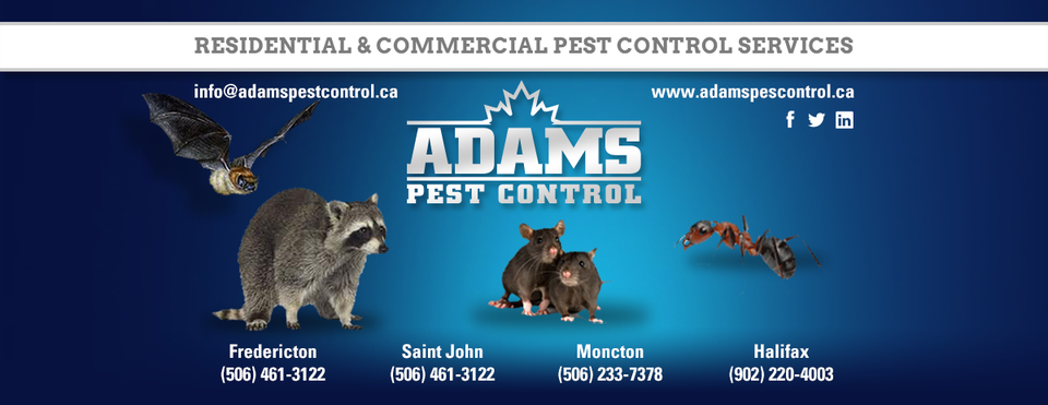 Saint John Home Show