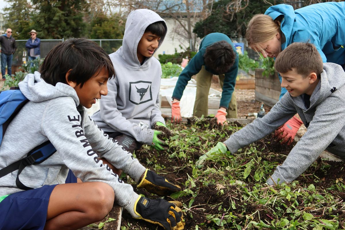 Summer Camp at the Farm!, 9 June | Event in San Jose | AllEvents