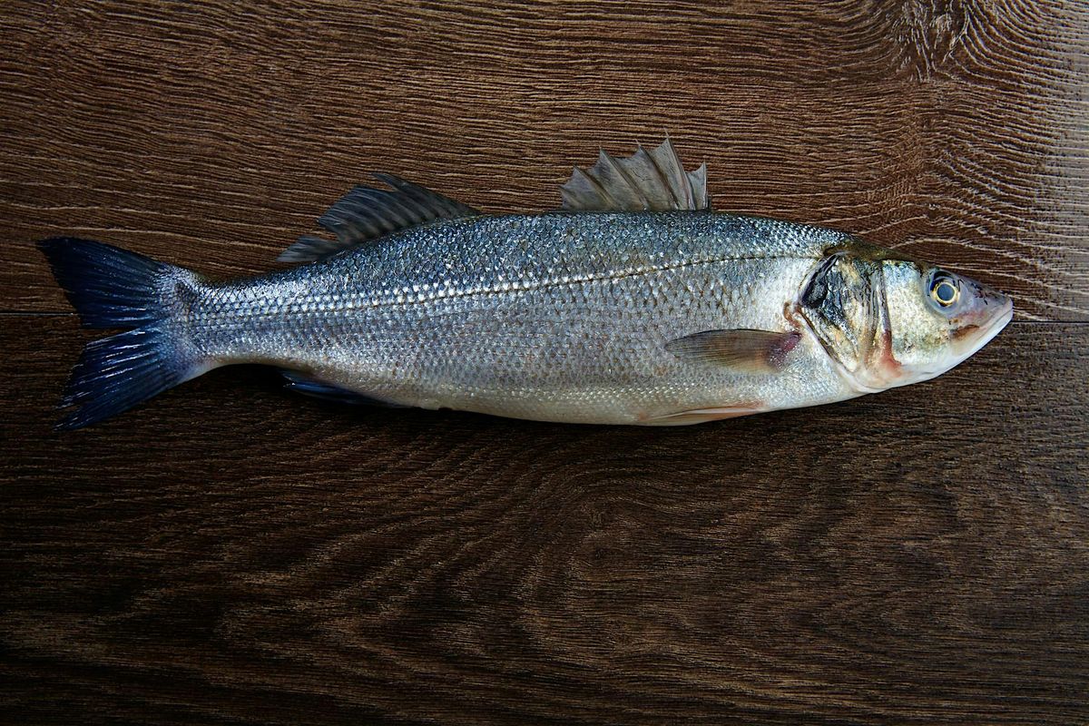 Cook Like a Pro: Fish Cookery, 7 June | Event in Philadelphia | AllEvents
