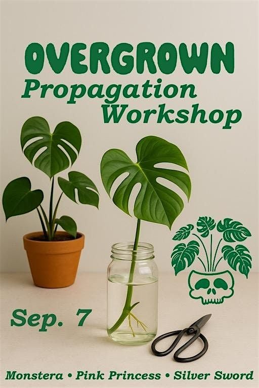 Overgrown Propagation Workshop, 7 September | Event in Milford | AllEvents