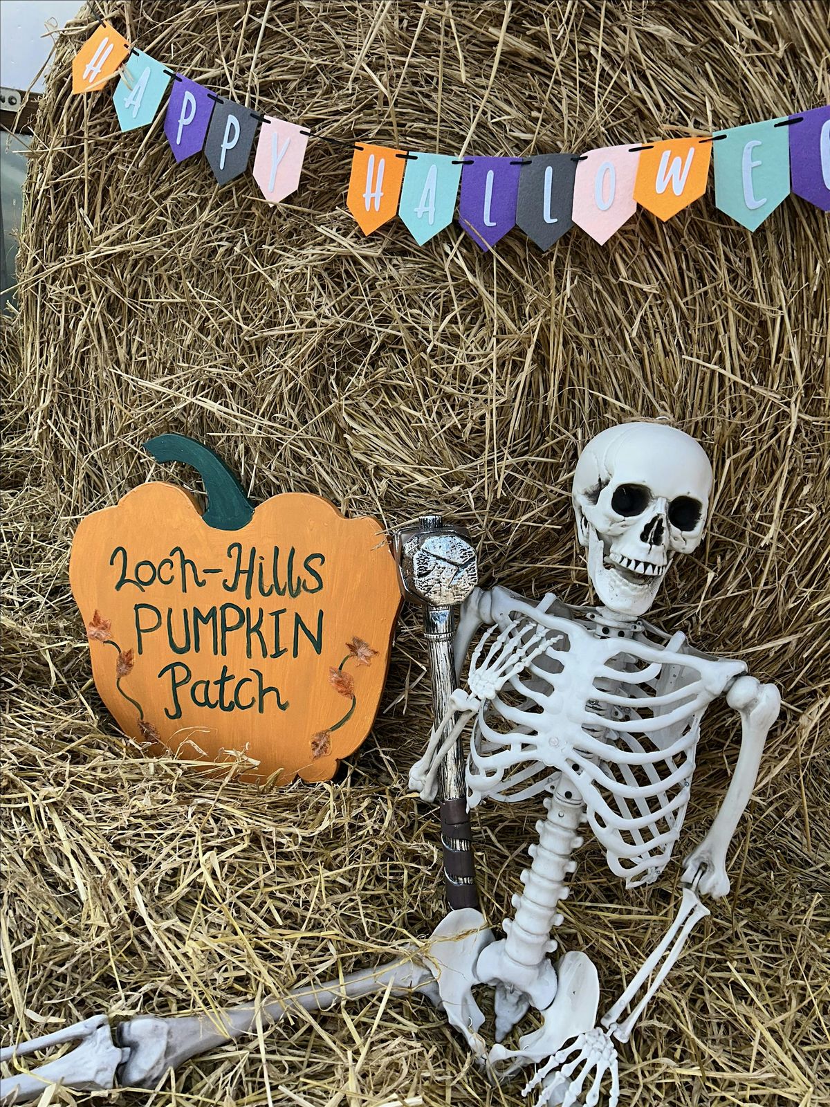 Loch-Hills Pumpkin Patch 2025, 4 October | Event in Ellon | AllEvents