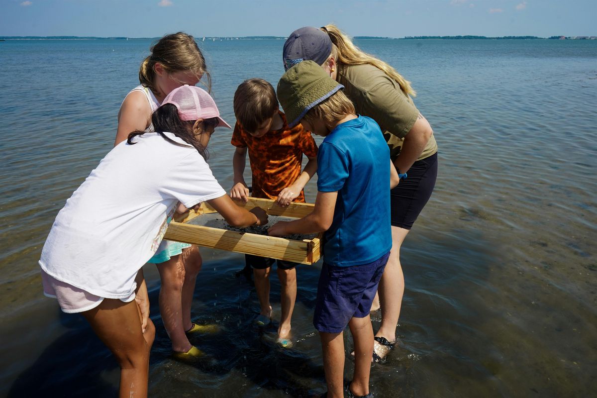 Fall Homeschool Series: Macroorganism Lab, 13 October | Event in Ocean View | AllEvents