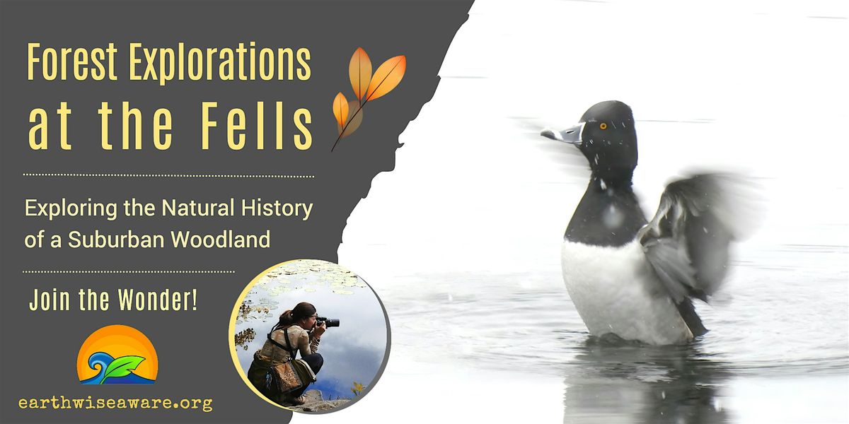 Fall Forest Explorations, 13 December | Event in Medford | AllEvents