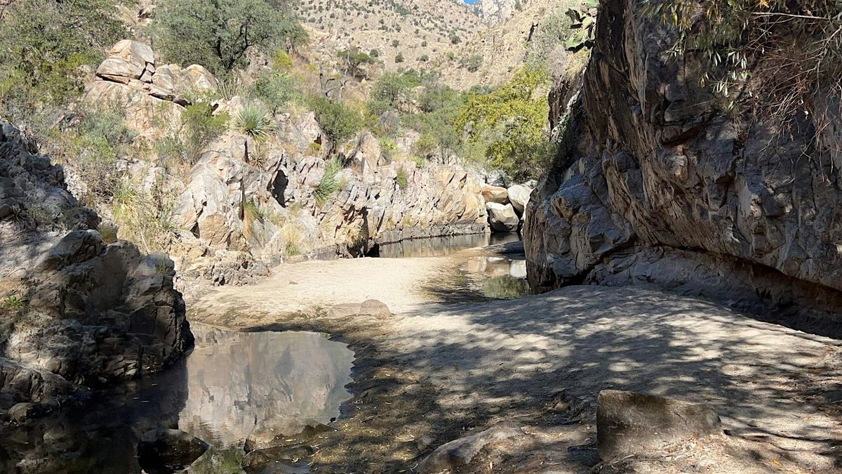 Spring Seeker Backpack in Sabino Canyon (July 4-6), 4 July | Event in Gordon | AllEvents