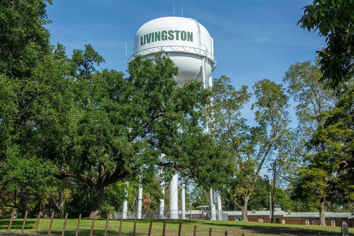 Awesome Scavenger Hunt! - Livin‘ Large in Livingston Hunt | Event in Livingston | AllEvents