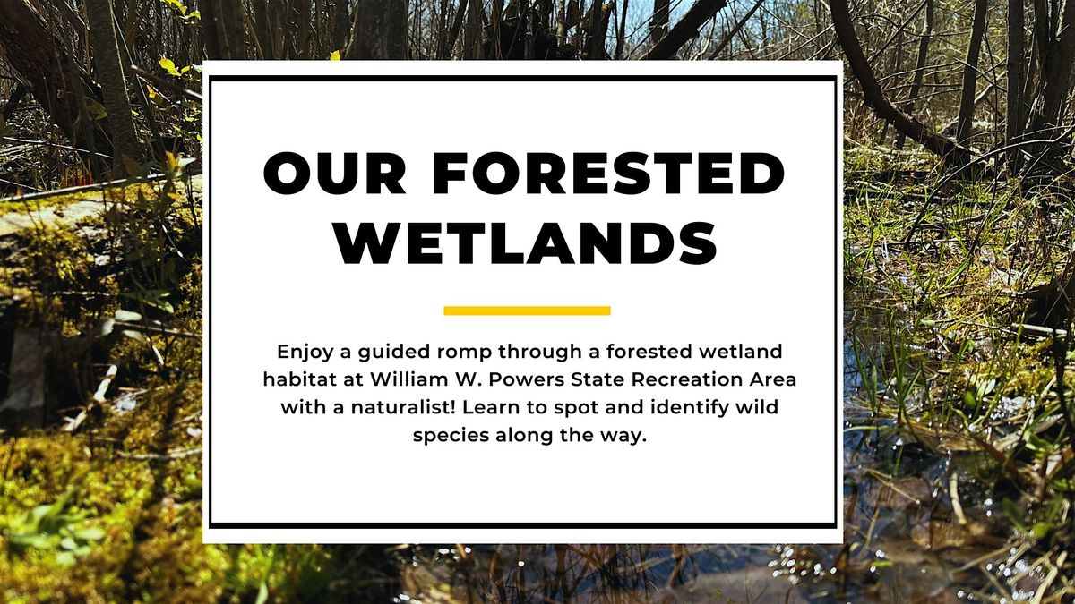 Our Forested Wetlands | Guided Hike, 12 September | Event in Chicago | AllEvents