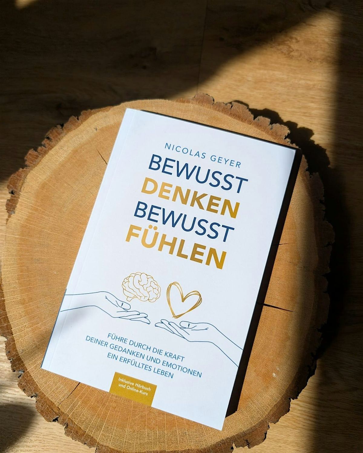Lesung "Bewusst denken Bewusst fühlen" mit Nicolas Geyer - Live, 13 September | Event in Hildesheim