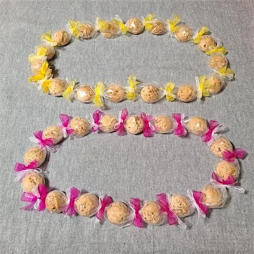Aloha! Cookies, Leis and Community!, 1 November | Event in Aurora | AllEvents