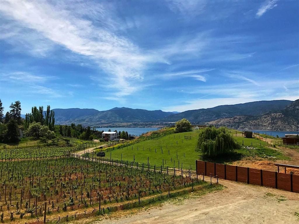 Vintality Demo Day, 8 July | Event in Penticton | AllEvents