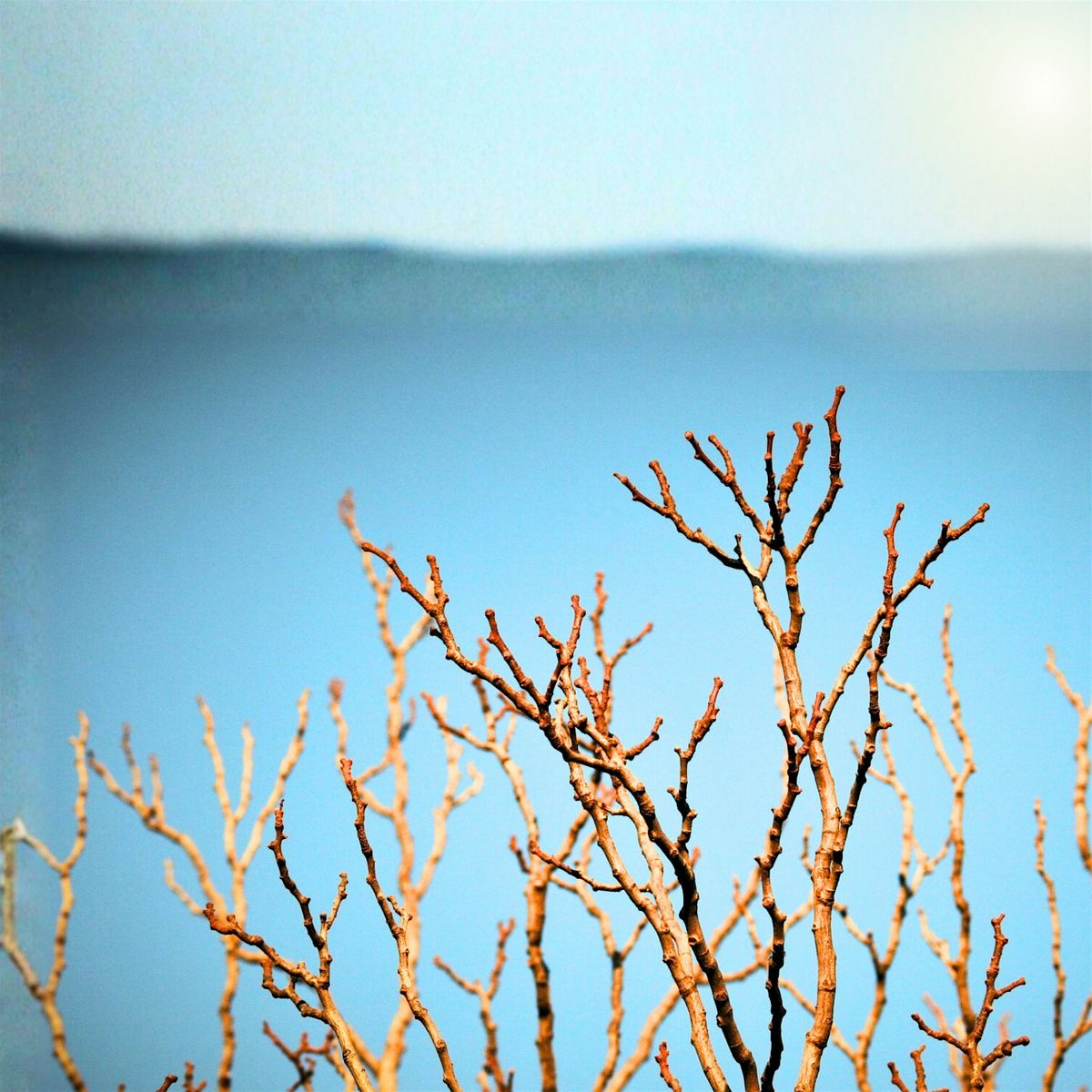 New Year’s Mindfulness Retreat