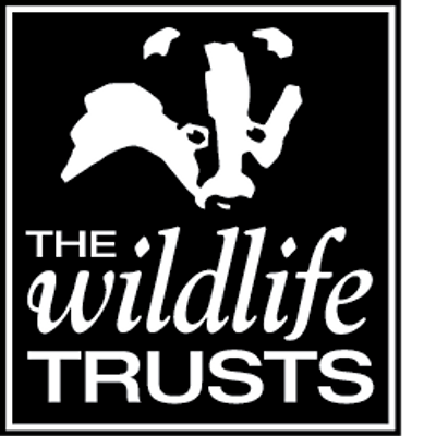 Becky Green - The Wildlife Trust BCN logo