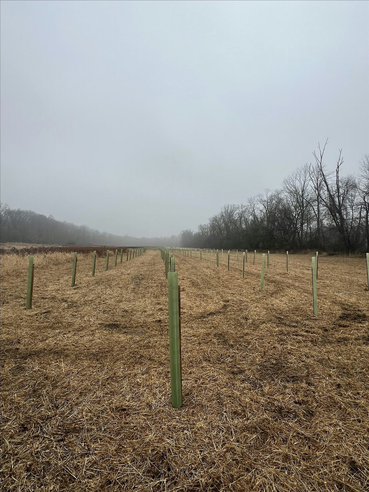 Sandbeach Road Buffer Maintenance, 14 June | Event in Hershey | AllEvents