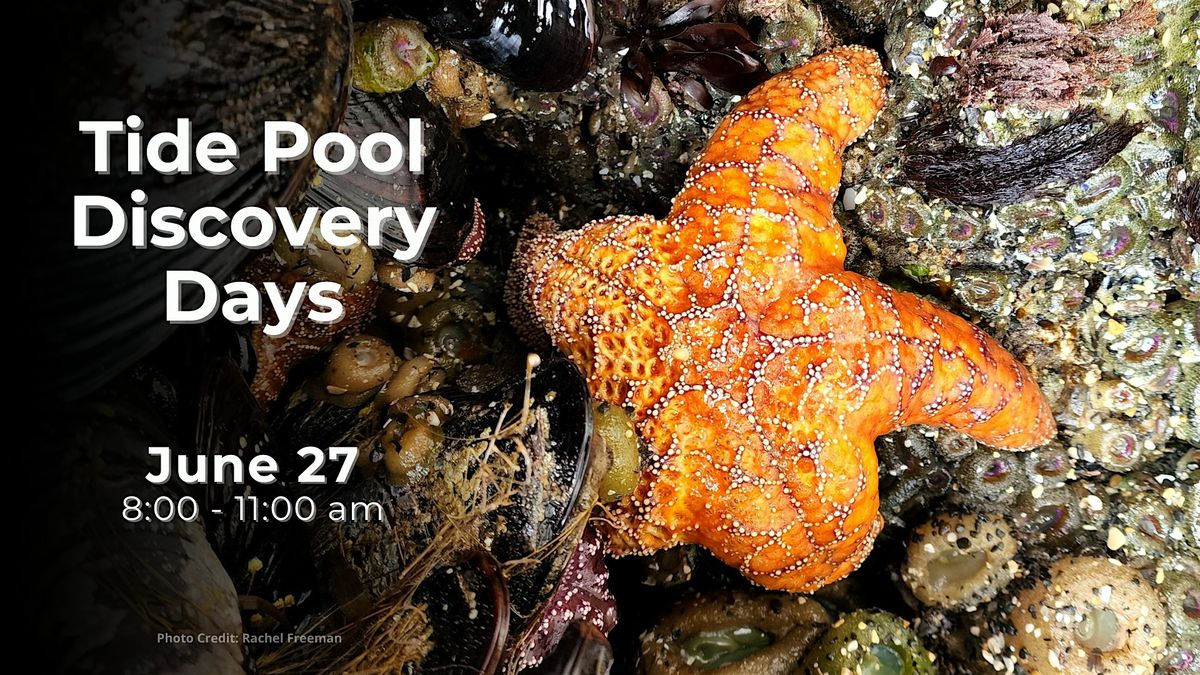 Tidepool Discovery Days (June 27)*, 27 June | Event in Tillamook | AllEvents