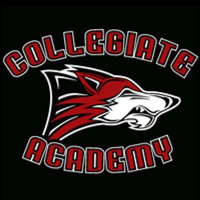 Collegiate Academy of Colorado