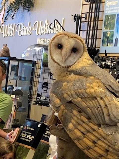 Whooo's Out There- Session 2, 27 September | Event in Glen Mills | AllEvents