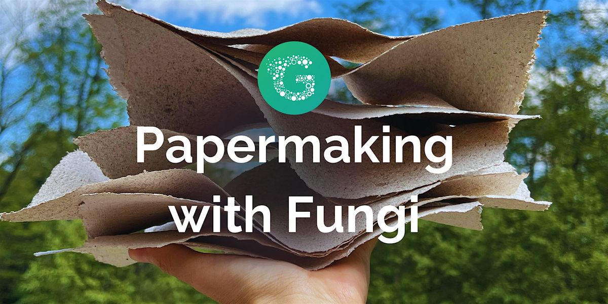 Papermaking with Fungi, 16 August | Event in Brooklyn | AllEvents