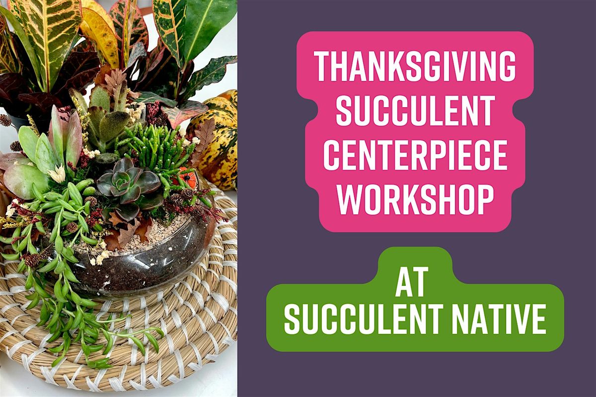 Thanksgiving Succulent Centerpiece Workshop, 23 November | Event in Austin | AllEvents