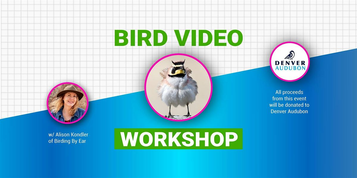 Bird Videography Workshop | AllEvents