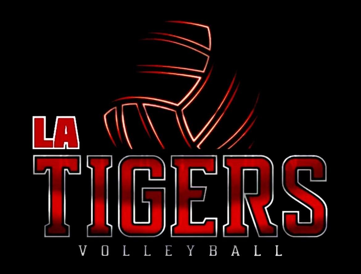 Beach Volleyball every Sunday! | Event in Santa Monica | AllEvents