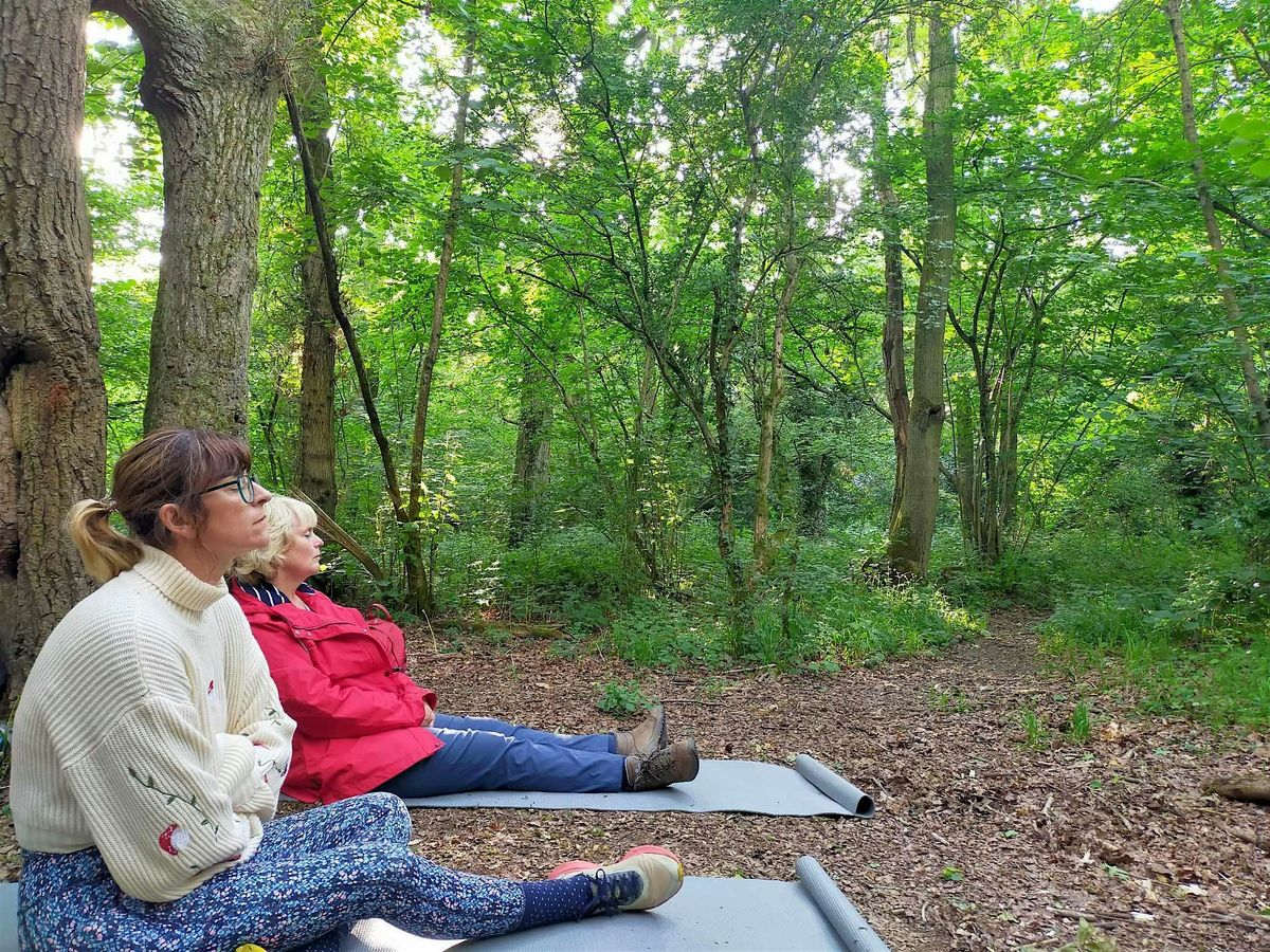Forest Bathing, Mindfulness and Wellbeing Walk, Penrose, 1 June | Event in Helston | AllEvents