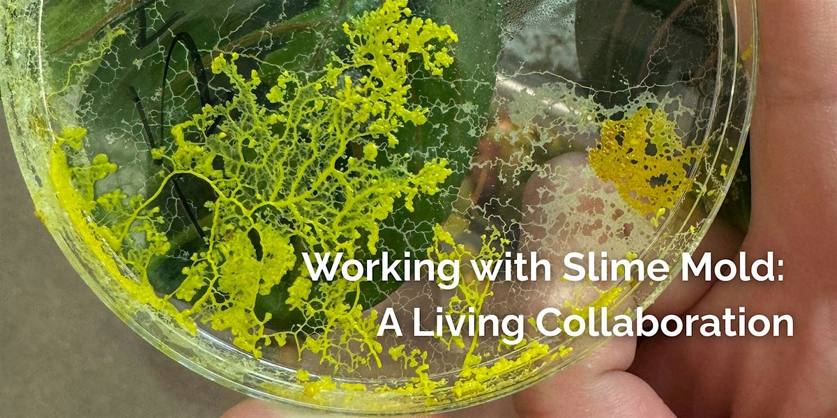 Working with Slime Mold: A Living Collaboration | Event in Brooklyn | AllEvents
