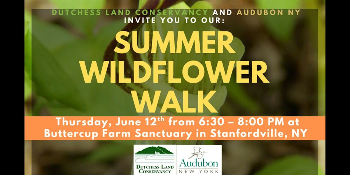 Summer Wildflower Walk, 12 June | Event in Stanfordville | AllEvents