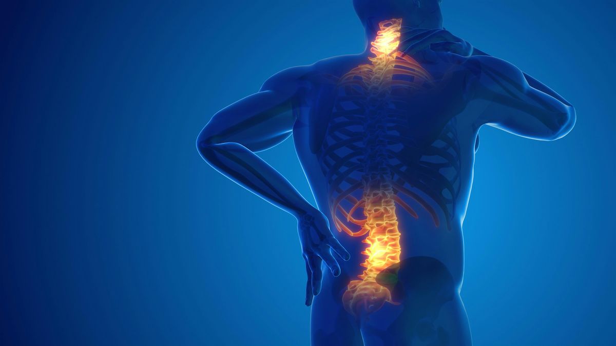 Back Pain Relief Workshop with Jeff, 31 May | Event in Albany | AllEvents