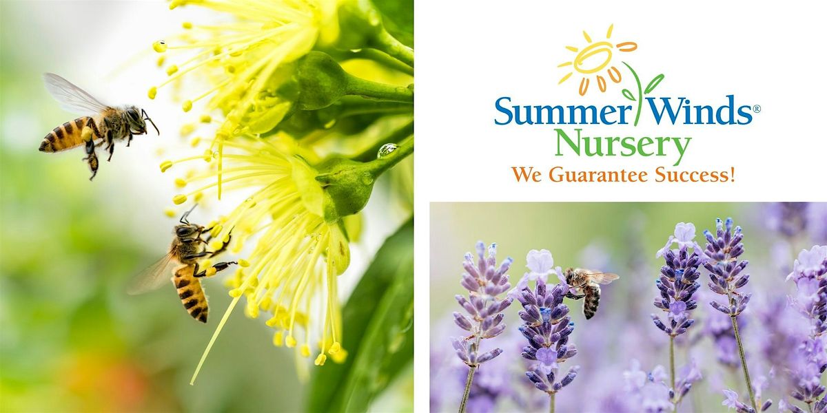 All About Bees in the Garden - Cupertino, 17 May | Event in Cupertino | AllEvents