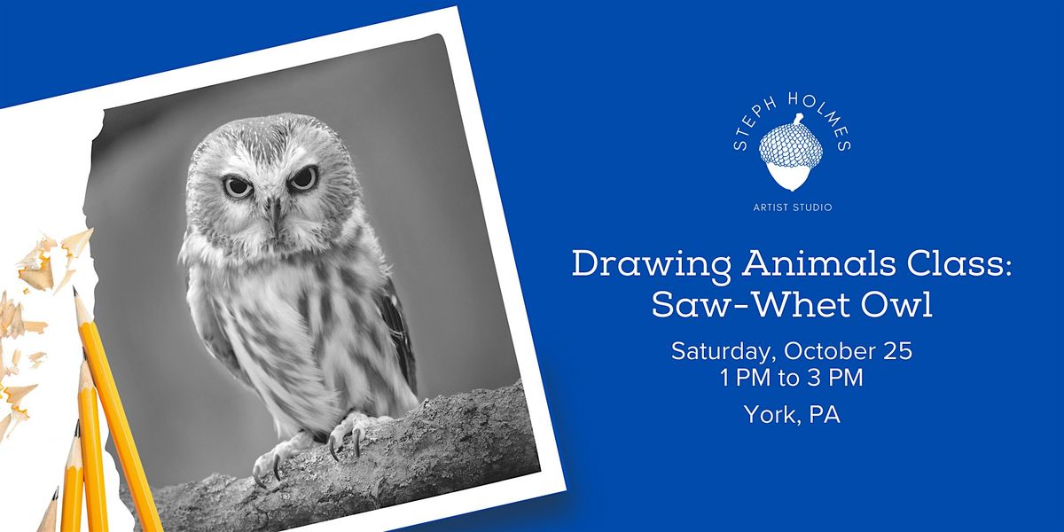 Drawing Animals Class: Saw-Whet Owl, 25 October | Event in York | AllEvents