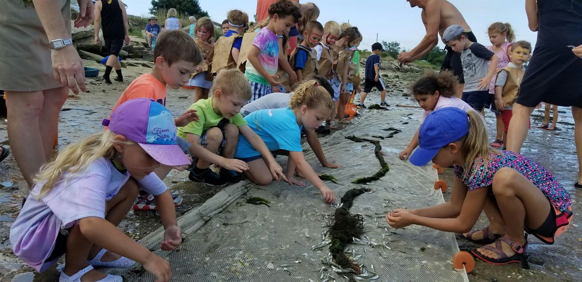 Harbor Safari, 24 June | Event in Cape May | AllEvents