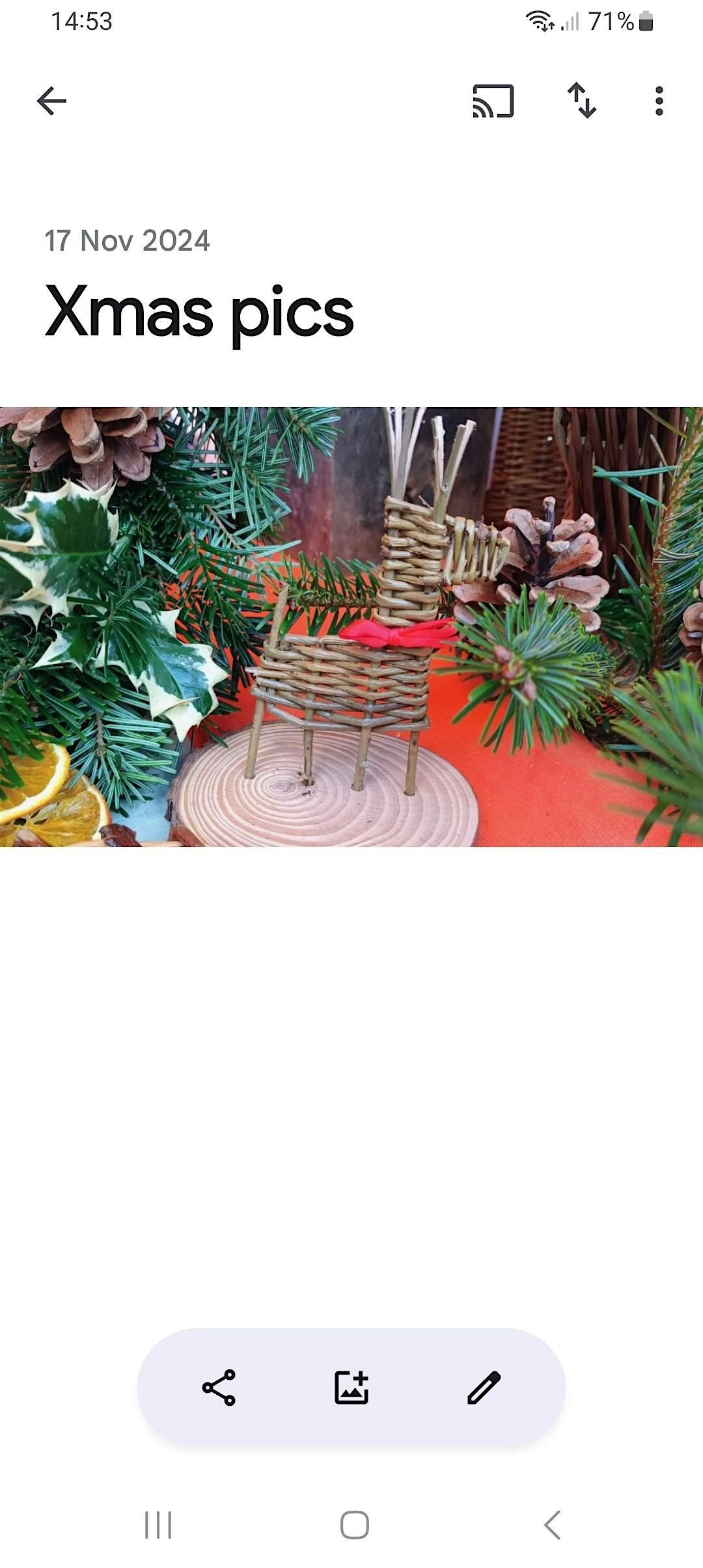 Festive Mix & Match willow weaving, 3 November | Event in Chislehurst | AllEvents