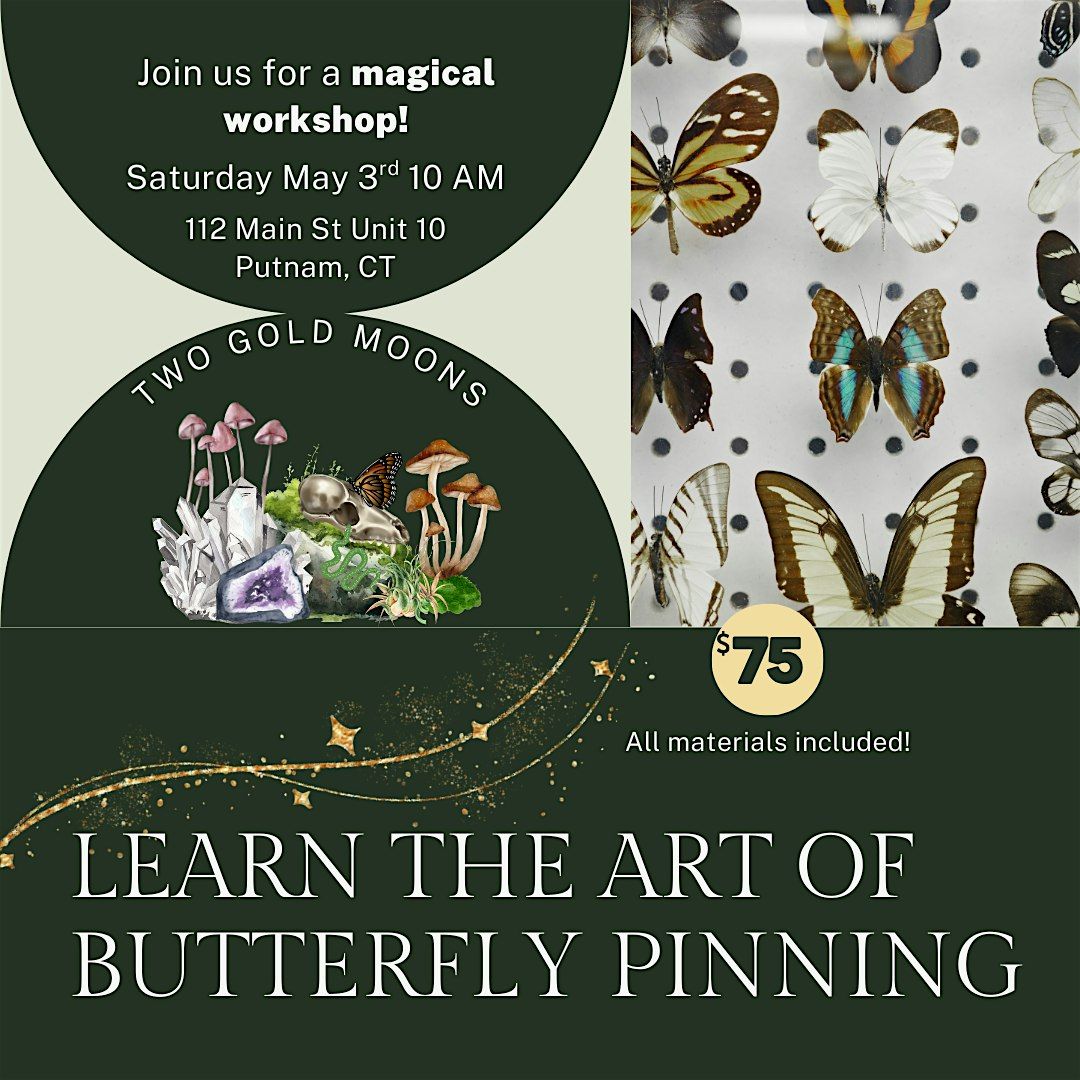 Learn How to Pin a Real Preserved Butterfly!, 3 May | Event in Putnam | AllEvents