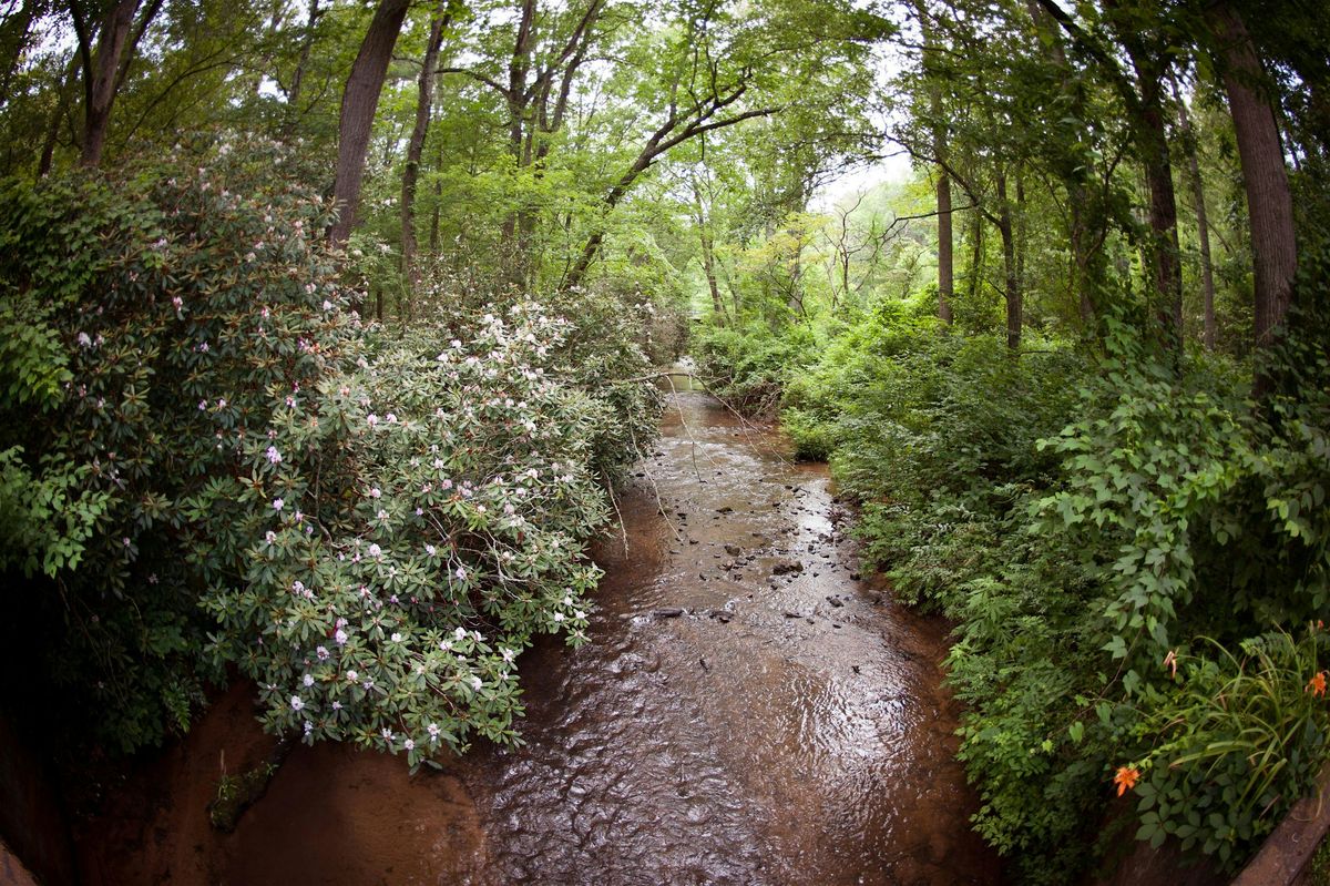 Streams & Creeks of the Arboretum, 22 January | Event in Asheville | AllEvents
