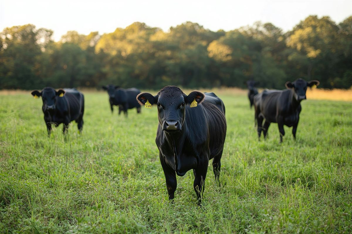 Forage Management for Finishing Cattle (On-Farm Workshop), 9 July | Event in Snow Camp | AllEvents