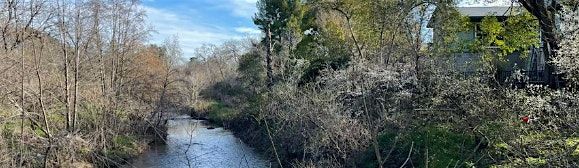 Royer/ Saugstad Creek Cleanup Event -- Nov. 15, 2025, 15 November | Event in Roseville | AllEvents