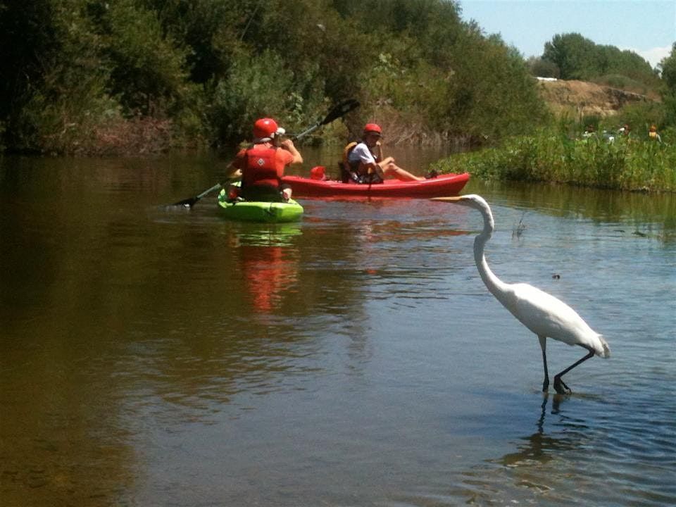 Sepulveda Basin_Los Angeles River Kayak Tours_2025 SAT. &  SUN., 31 May | Event in Los Angeles | AllEvents