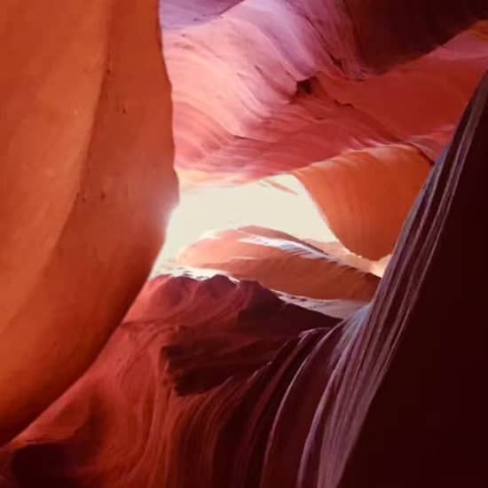From Las Vegas: Antelope Canyon X & Horseshoe Bend Tour with Lunch | Event in Winchester | AllEvents