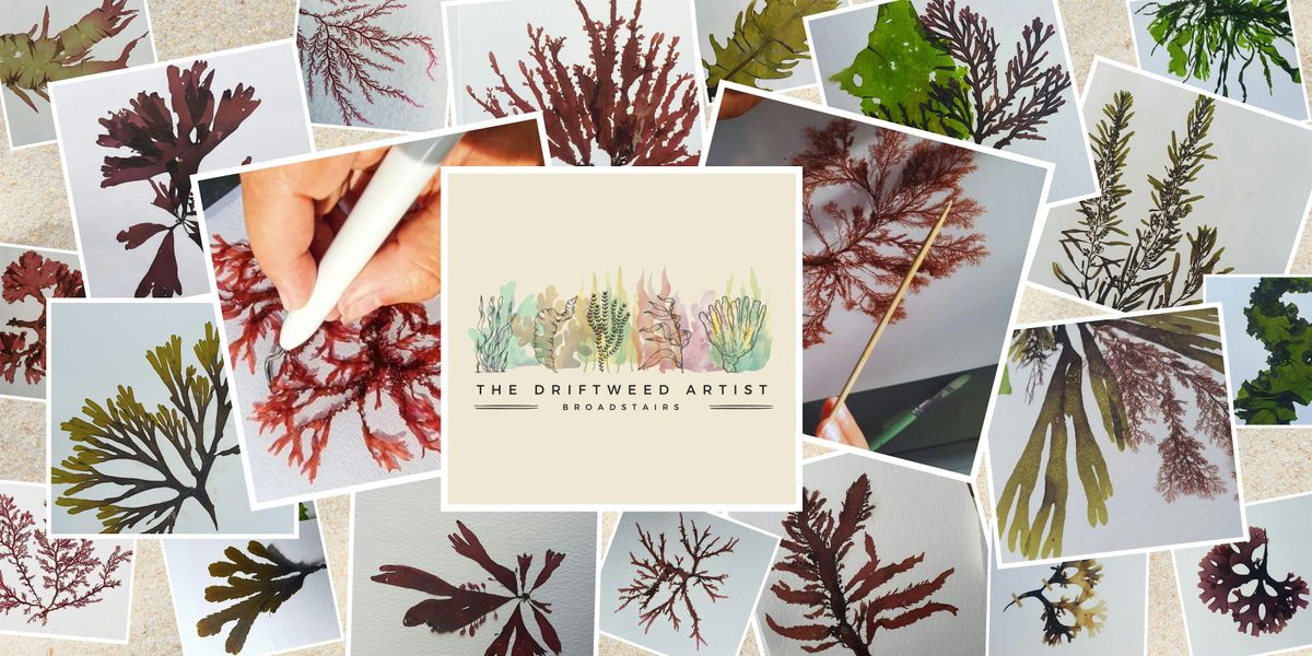 Seaweed Pressing Workshop (4hr), Broadstairs, 13 July | Event in Broadstairs | AllEvents
