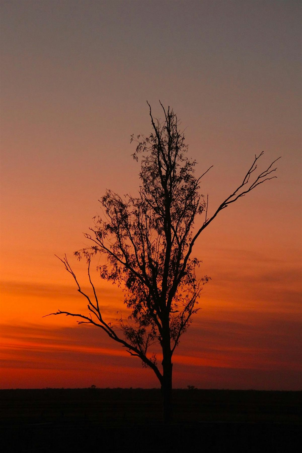 Intermediate Photography Workshop- Sunset & Star Trail, 20 October | Event in Dargal Road | AllEvents