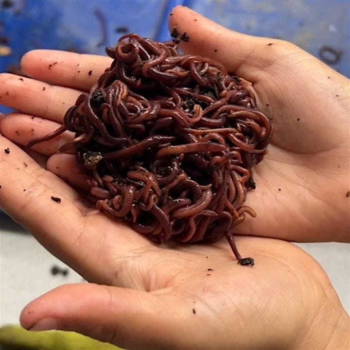 Vermicomposting Workshop | Event in San Jose | AllEvents